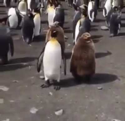 🐧 когда ты кажется уже не пездюк, но зачем<wbr>-то идёшь по улице вместе с мамой 🐧