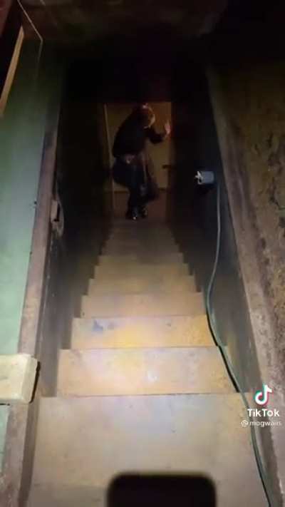 This Gem on tiktok