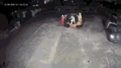 teletubbies steal a forklift