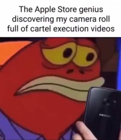 I have taken 3 to 4 hours to think and I decided that this sub will be used as my shitpost landfill(Im qualified as I have no friends) until the singular mod does something to determine how this subreddit will function(yes these are memes are stolen, I'm 