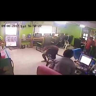 Snake enters net cafe