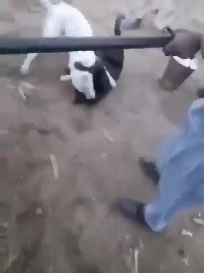 Pelo menos eles pararam de brigar