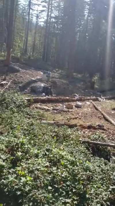 WCGW - Firing a 12g full-size with 1 hand