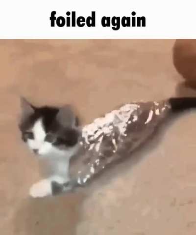 cate
