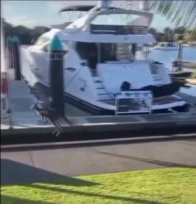 A kangaroo hoppin'