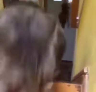 What the hell did I just watch