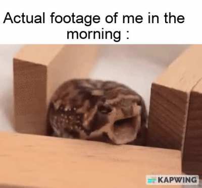 Mourning routine