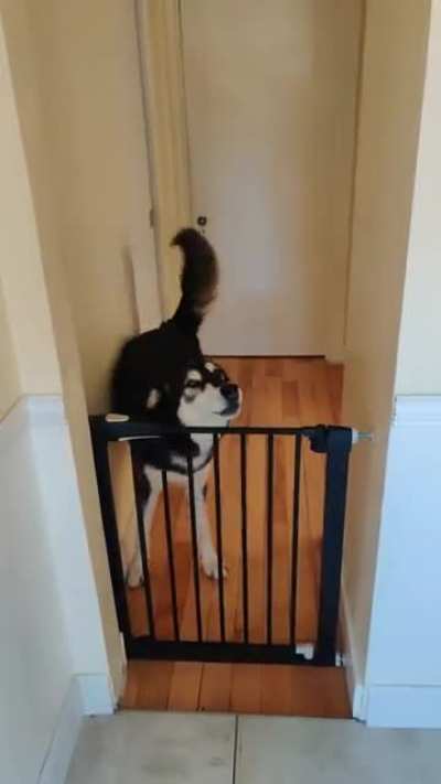 Every day I come home to this