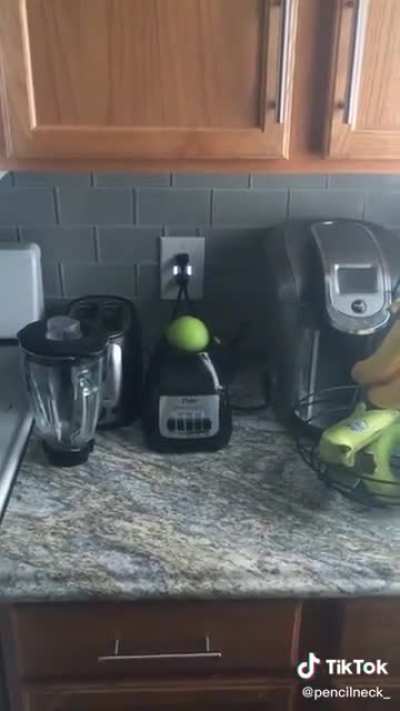 AAAA