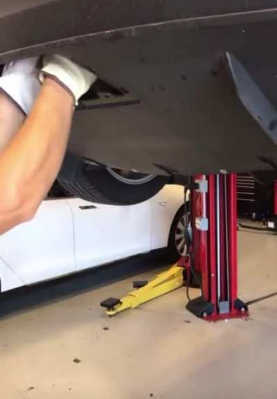 Tesla service center puts cat inside a car