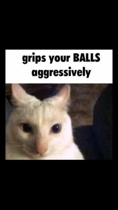 NOOO not the balls