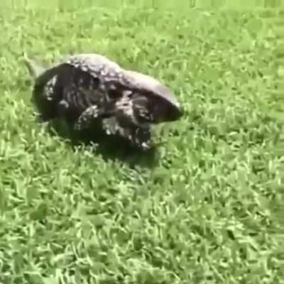Please turn on audio