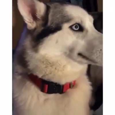 Кто это надел<wbr>ал?