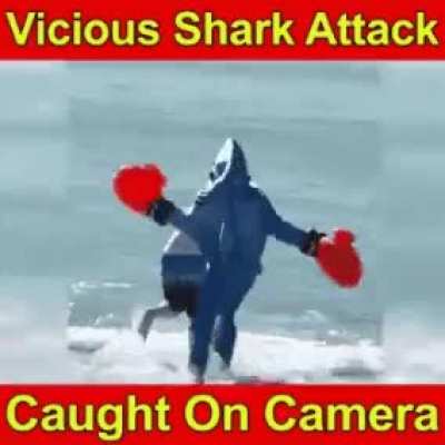 A shark attack