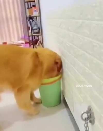 Know your place Trash