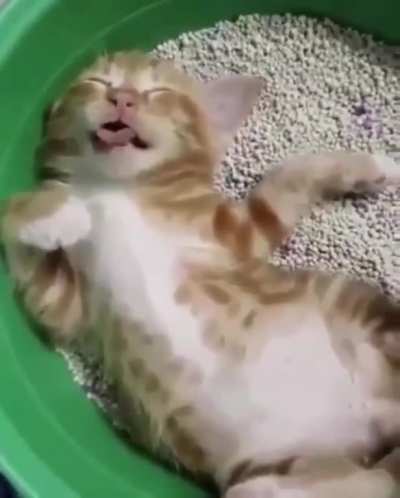 awww