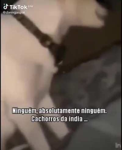 ShitpostBR - Video #9128