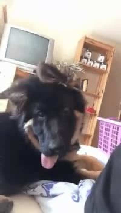 MRW I’m stoned off my ass and hear the sound of a bag of chips being popped open