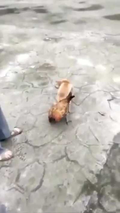 Love knows no bounds.