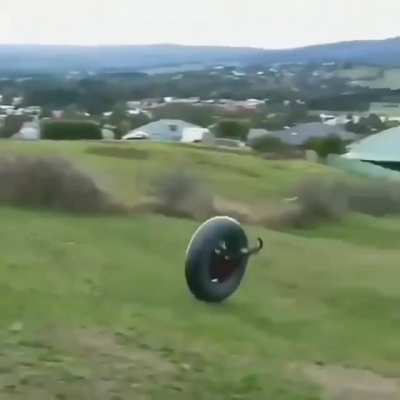 Roller Coaster ride