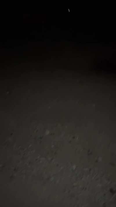 I can never resist sucking some cock after lake day