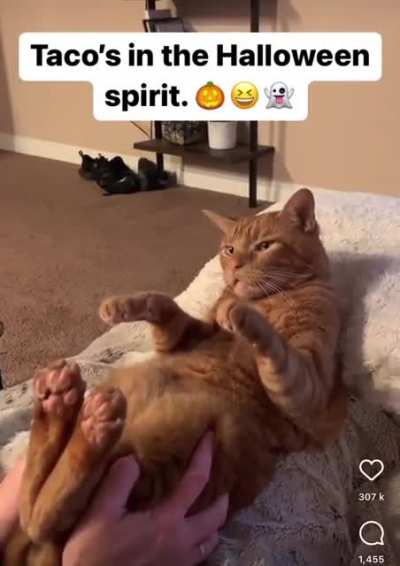 The Summoning.