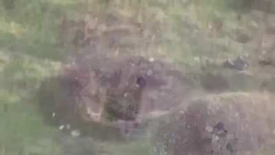 Compilation of drone attacks. Some had been posted before. Contains some unseen direct hits.