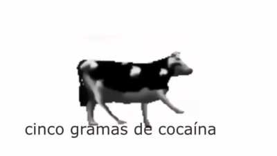 Esta aqui a tradução da musica com a vaca que pula