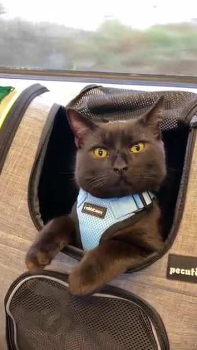 Does this count?