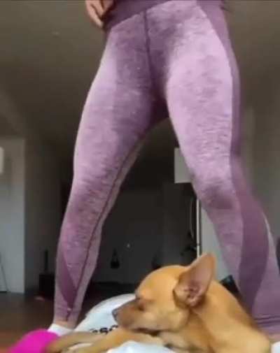 Хоба