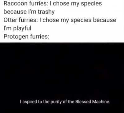 Furry⚙️irl