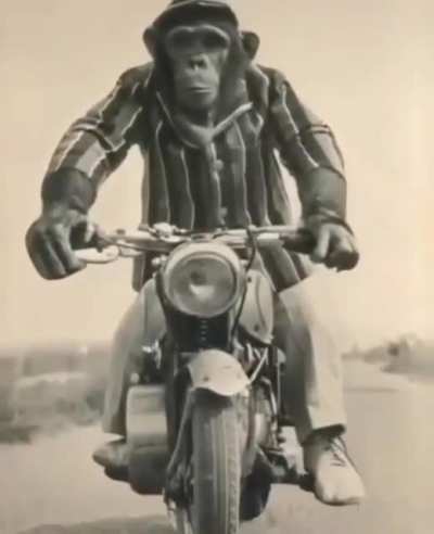 monke drip