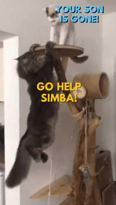 Oh não
