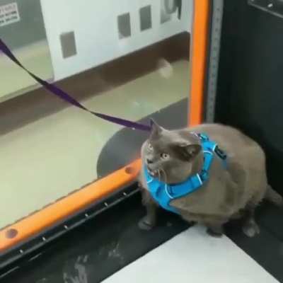 I AM working out...