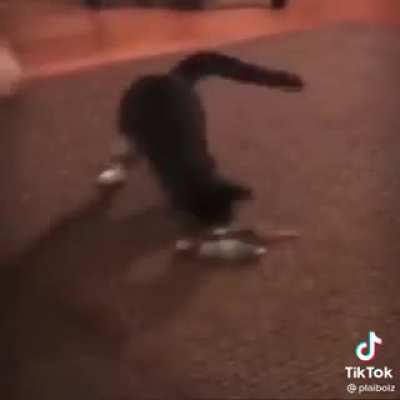 the