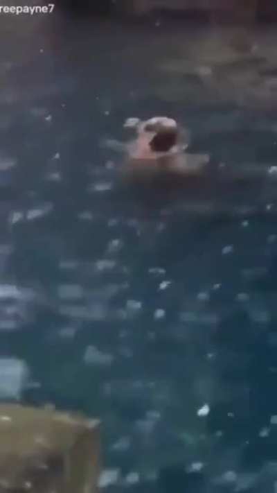 aarrrrr