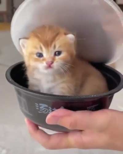 Soup anyone?
