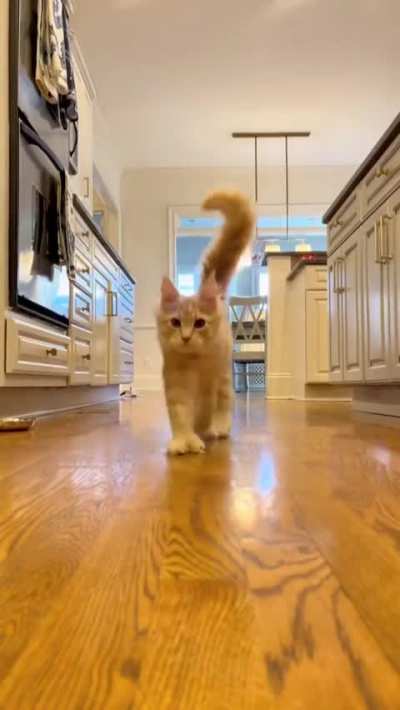 It’s So Fluffy