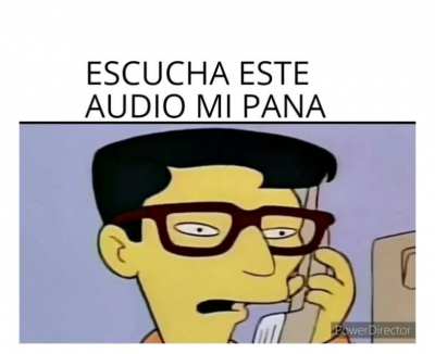 ESCUCHA ESTE AUDIO MI PANITA.
