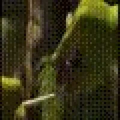 The entire shrek movie as a gif - also rule