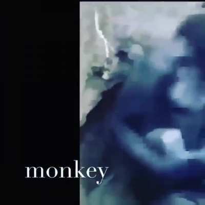 Ojalá que el autista lo vea 😳