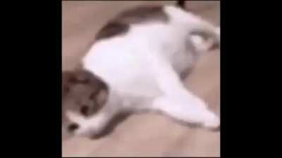 Rhythm wunkus