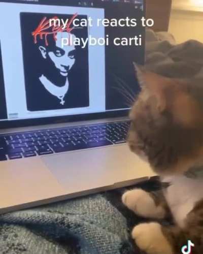 Ca(r)t (ule)