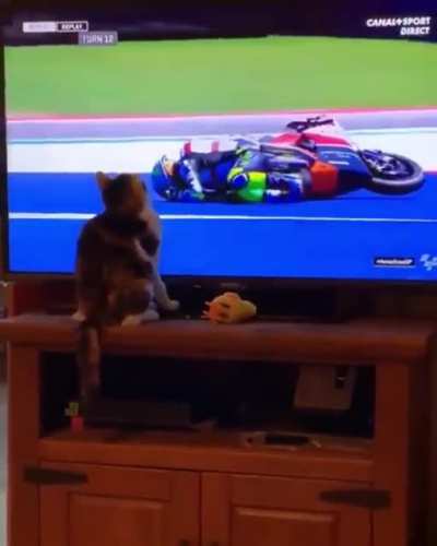 Racing Accident Forecaster and Analyst