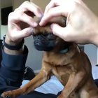 Aww... look at that face