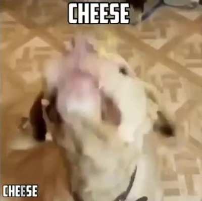 the