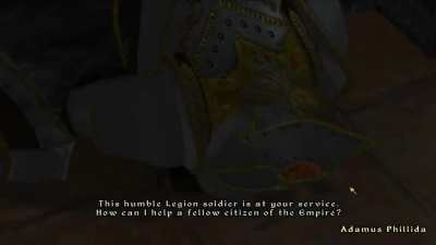 [TES IV: Oblivion] He's just doing his job i think