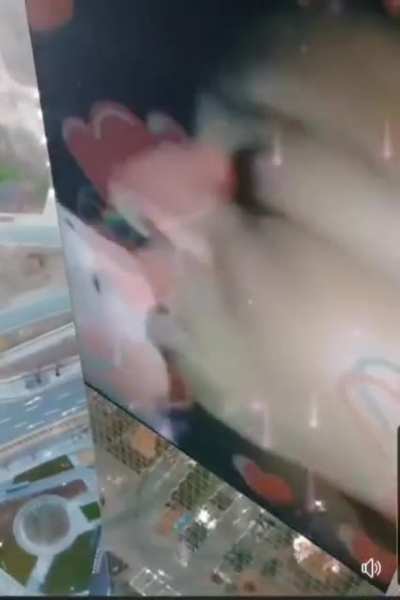El Gato
