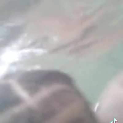 Buceando