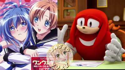 Knuckles Approving/Disapproving Girl X Girl Series 